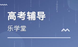 天津乐学堂教育 大众网推荐品牌的专业教育信息咨询之路
